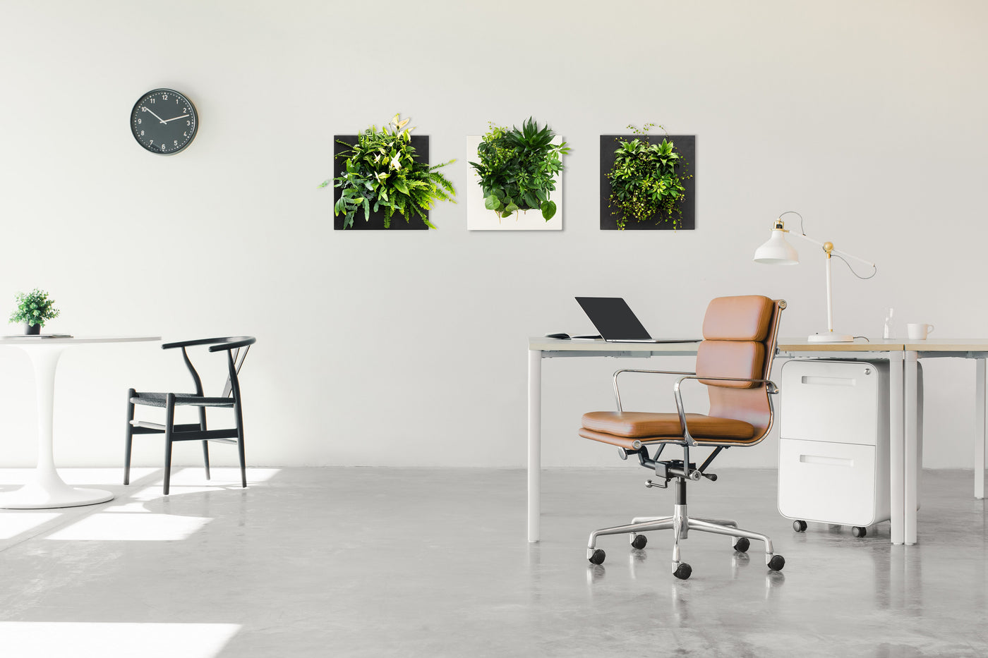 mehr grün mehr gute Luft mehr Entspannung in dein Büro Wohnzimmer Küche Schlafzimmer Bad mit echten Pflanzen mit LivePicture Go